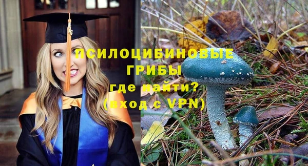 мяу мяу мука Зеленокумск